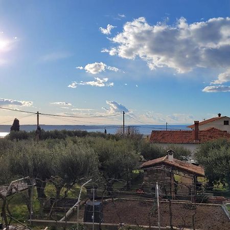 Apartma Isabella Sečovlje Exteriér fotografie